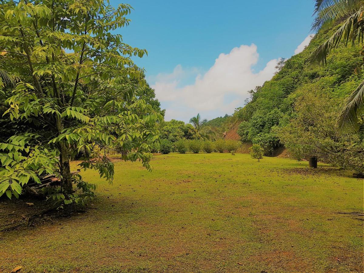 Huahine - Tipanier House Villa Haapu Dış mekan fotoğraf