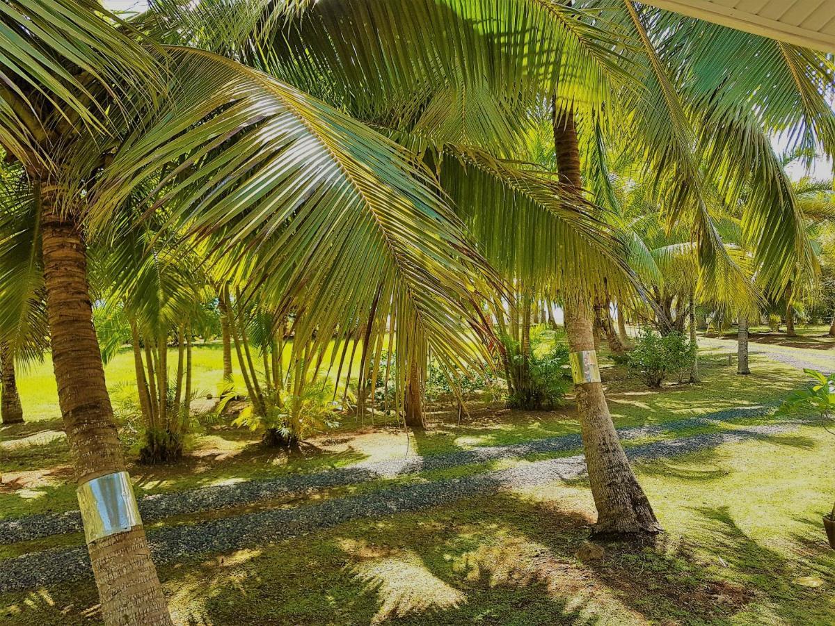 Huahine - Tipanier House Villa Haapu Dış mekan fotoğraf